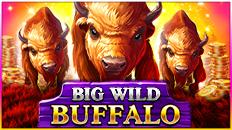 Big Wild Buffalo | Промо-материалы | Игровой автомат онлайн