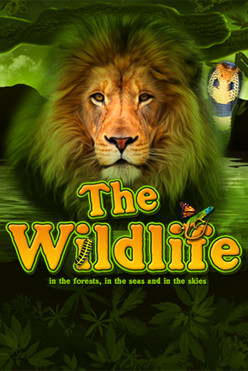 The Wildlife - promo pack