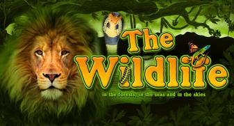 The Wildlife | Promotion pack | Online slot