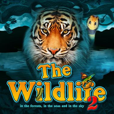 The Wildlife 2 | Promotion pack | Online slot