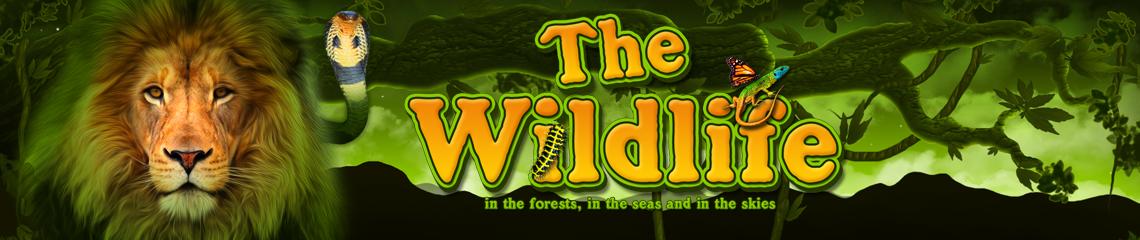 The Wildlife | Promotion pack | Online slot