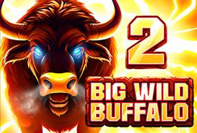 Big Wild Buffalo 2 | Promotion pack | Online slot