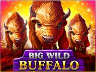 Big Wild Buffalo | Promotion pack | Online slot