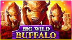 Big Wild Buffalo | Promotion pack | Online slot