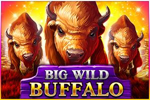Big Wild Buffalo | Promotion pack | Online slot