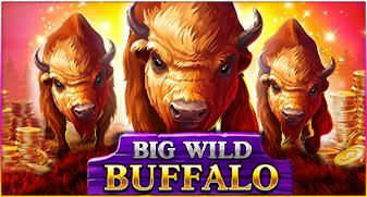 Big Wild Buffalo | Promotion pack | Online slot