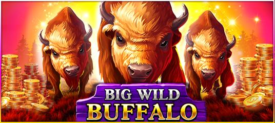 Big Wild Buffalo | Promotion pack | Online slot