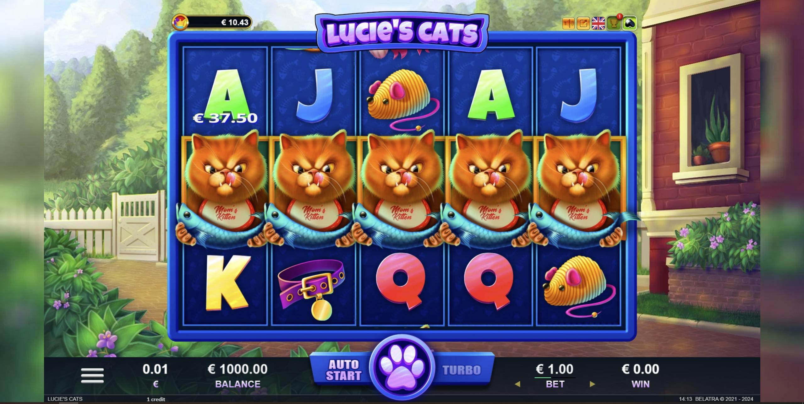 Lucie's Cats | Promotion pack | Online slot
