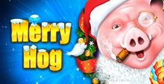 Merry Hog | Promotion pack | Online slot