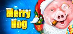 Merry Hog | Promotion pack | Online slot