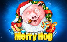 Merry Hog | Promotion pack | Online slot