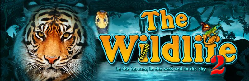 The Wildlife 2 | Promotion pack | Online slot
