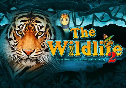 The Wildlife 2 | Promotion pack | Online slot