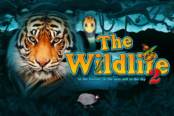 The Wildlife 2 | Promotion pack | Online slot