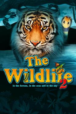 The Wildlife 2 | Promotion pack | Online slot