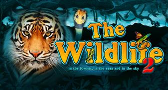 The Wildlife 2 | Promotion pack | Online slot