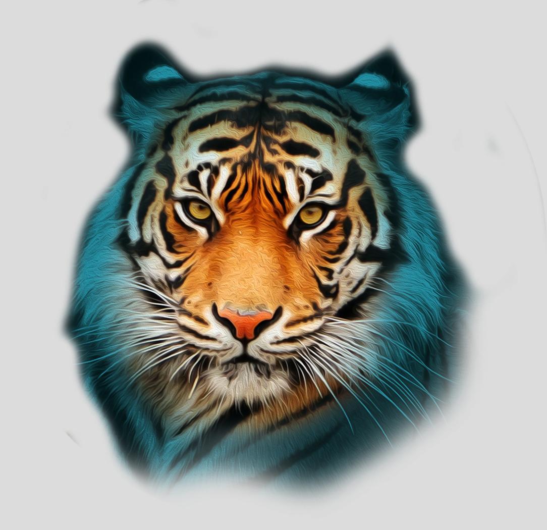 The Wildlife 2 | Promotion pack | Online slot