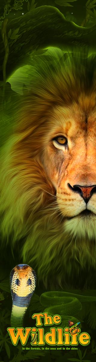The Wildlife | Promotion pack | Online slot