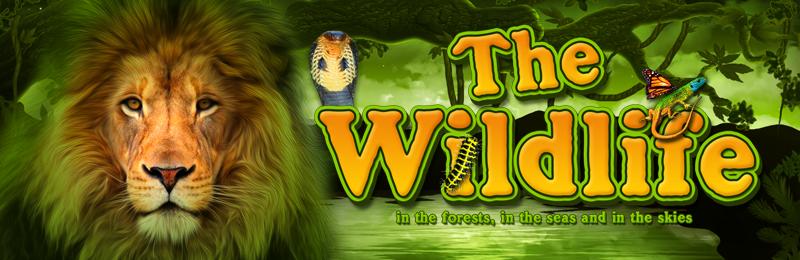 The Wildlife | Promotion pack | Online slot