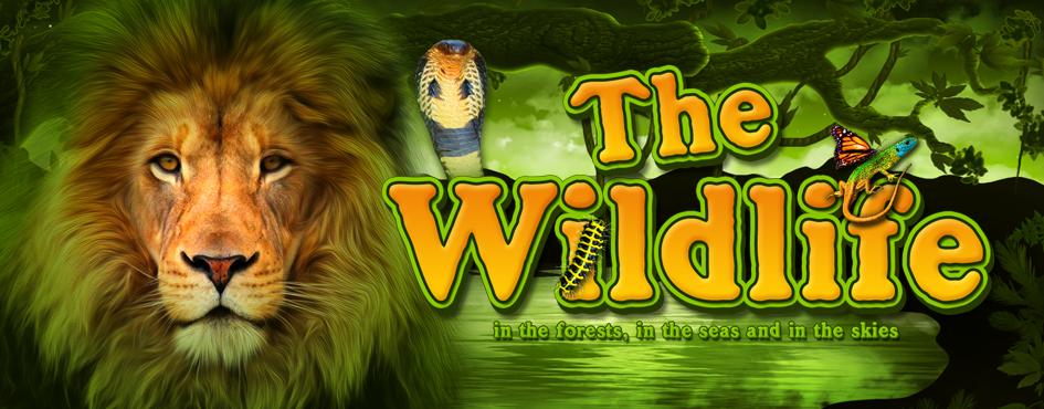 The Wildlife | Promotion pack | Online slot