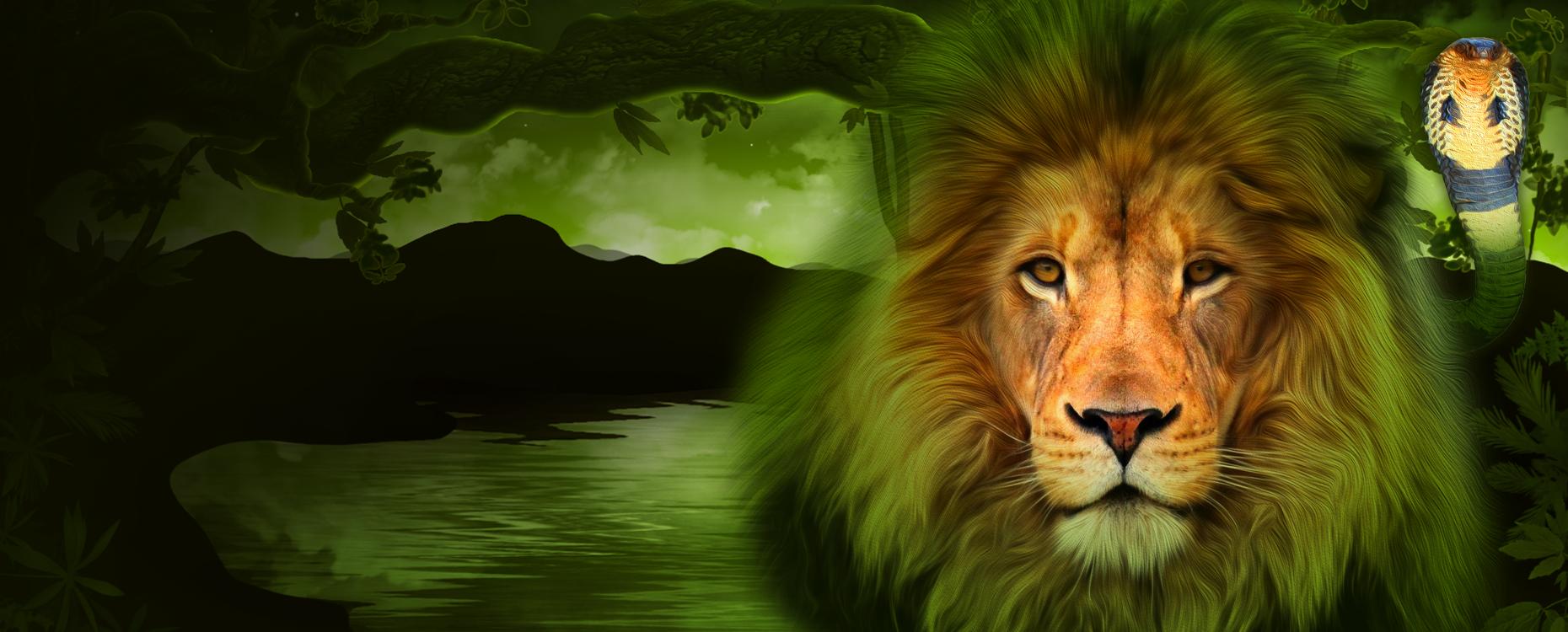 The Wildlife | Promotion pack | Online slot