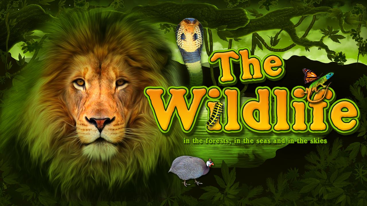 The Wildlife | Promotion pack | Online slot