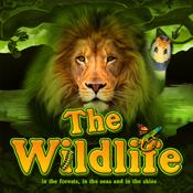 The Wildlife | Promotion pack | Online slot