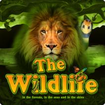 The Wildlife | Promotion pack | Online slot