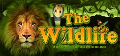 The Wildlife | Promotion pack | Online slot