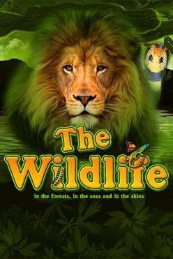 The Wildlife | Promotion pack | Online slot