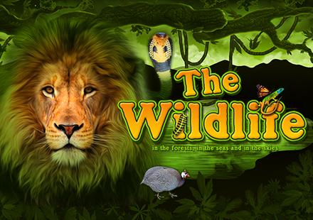 The Wildlife | Promotion pack | Online slot