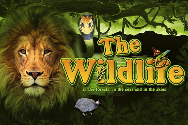 The Wildlife | Promotion pack | Online slot