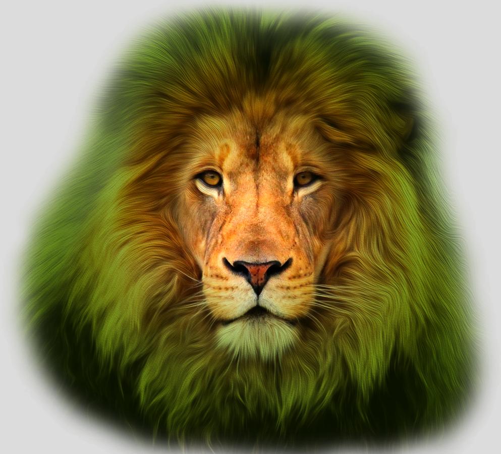 The Wildlife | Promotion pack | Online slot