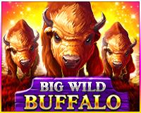 Big Wild Buffalo | Промо-материалы | Игровой автомат онлайн