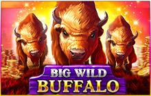 Big Wild Buffalo | Промо-материалы | Игровой автомат онлайн