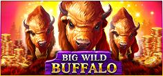 Big Wild Buffalo | Промо-материалы | Игровой автомат онлайн