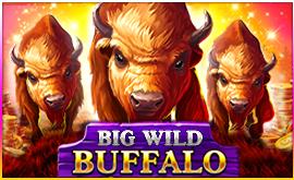 Big Wild Buffalo | Промо-материалы | Игровой автомат онлайн