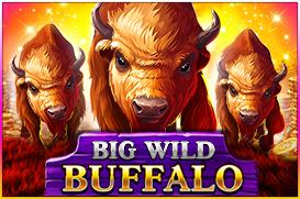 Big Wild Buffalo | Промо-материалы | Игровой автомат онлайн