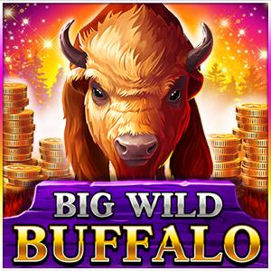 Big Wild Buffalo | Промо-материалы | Игровой автомат онлайн
