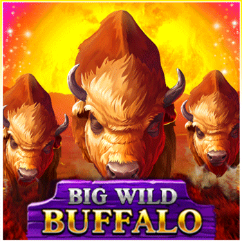 Big Wild Buffalo